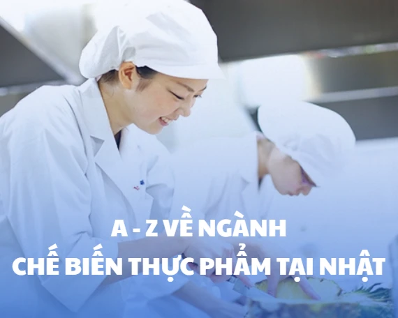 Ngành Chế biến thực phẩm tại Nhật: Công việc, lương, điều kiện làm việc & lộ trình đi nhanh cho lao động Việt