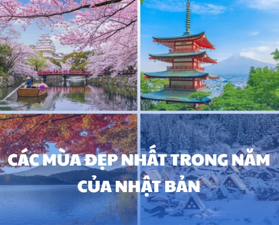 Các mùa đẹp nhất trong năm ở Nhật Bản – Khi thiên nhiên thay áo và con người sống chậm lại