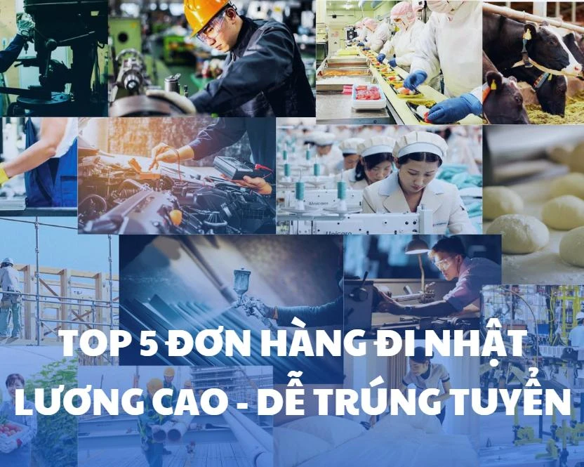 Top 5 đơn hàng “lương cao – dễ trúng tuyển” tại VJMHR