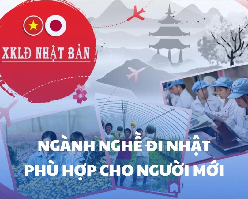 Từ 0 kinh nghiệm vẫn đi Nhật được – chọn đơn hàng thế nào cho phù hợp?